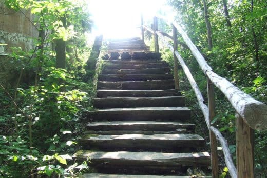 la parole de Dieu est la lumière qui éclaire tout homme